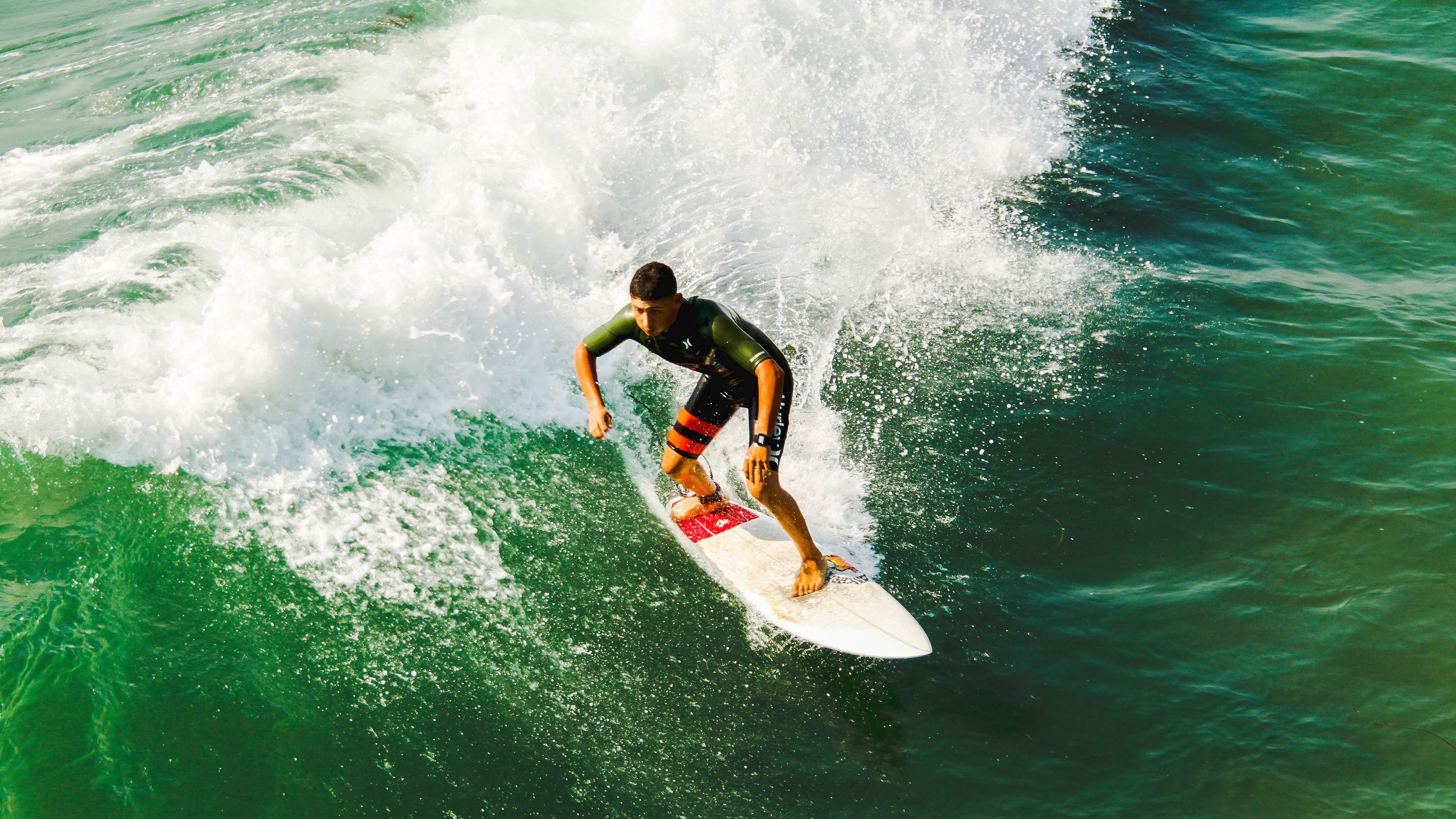绿茵场外的藏獒，当张继科的拼搏精神照亮波兰与法国的鏖战之夜