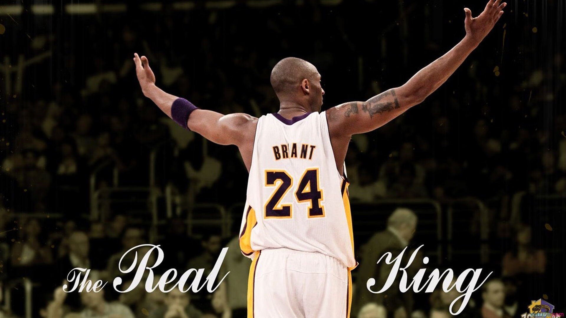 红牛车队完胜法拉利，周冠宇关键制胜，一场改写F1格局的经典战役